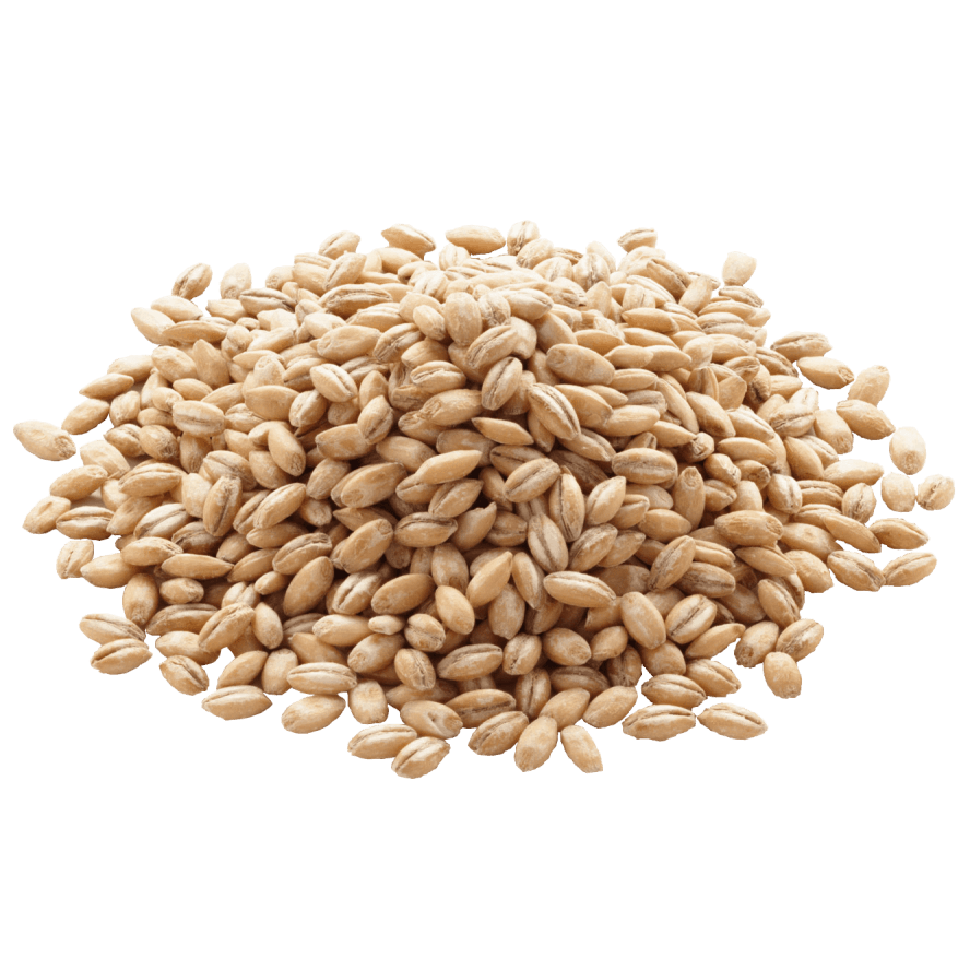 smaller_barley