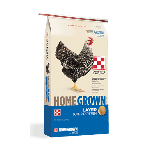 Purina_Products_HomeGrown_Layer copy Purina_Products_HomeGrown_Layer copy