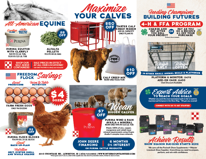 IF-Mailer-June-2026-8.5x11-02
