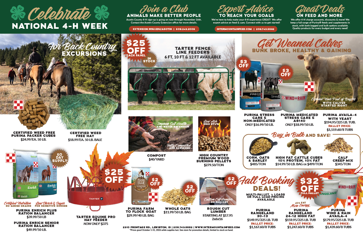 IF-Mailer-October2026-17x11-02