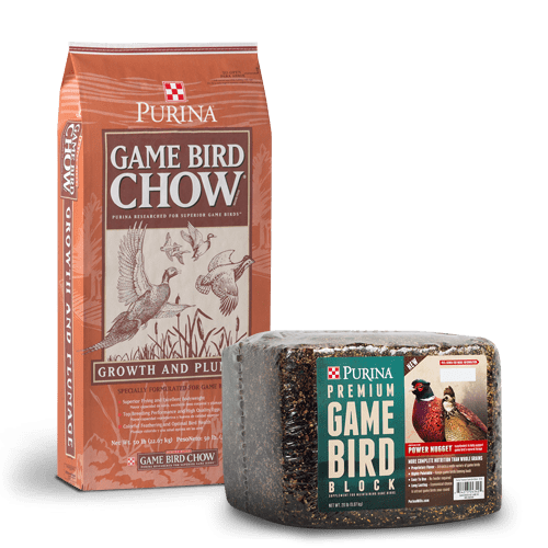 Product_Poultry_Purina_Game-Bird-Chow copy