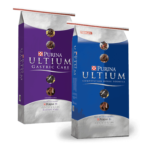 Products_Horse_Ultium-Gastric-Care copy